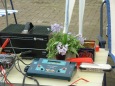 Eswas seltenes in Moerser Fahrerlager Blumen